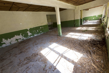 Floor of an abandoned school