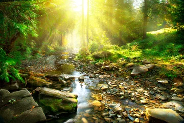 Foto auf Acrylglas Wälder Bergfluss. Ruhige Landschaft mitten im grünen Wald
