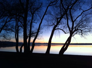 Silhouette von Bäumen am Ammersee