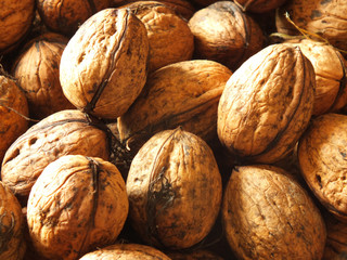 Walnüsse nach der Ernte
