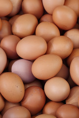 fresh eggs for sale at a market