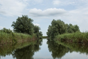 Fototapeta na wymiar Nature on a river