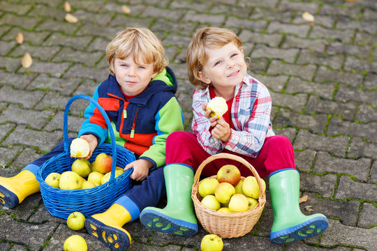 Two Adorable Little Twin Kids Eating Apples In Home's Garden, Ou