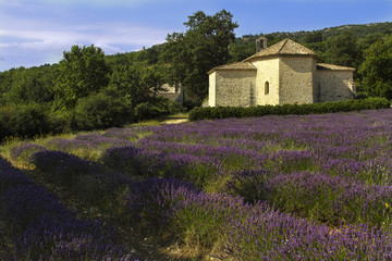Naklejka na ściany i meble Provence, Luberon, Viens St Ferreol