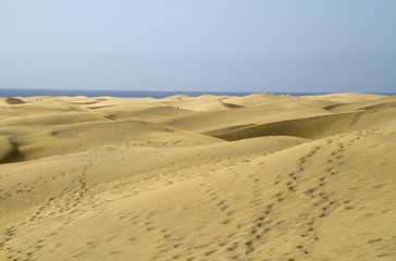 desert