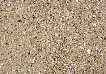 Wet sand with crushed sea shells