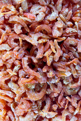 close up of dried shrimp