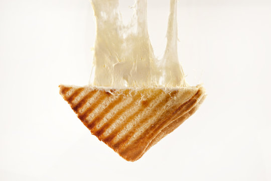 toasted cheddar cheese sandwich turkish toast isolated
