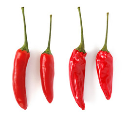 Chilischoten frisch & getrocknet