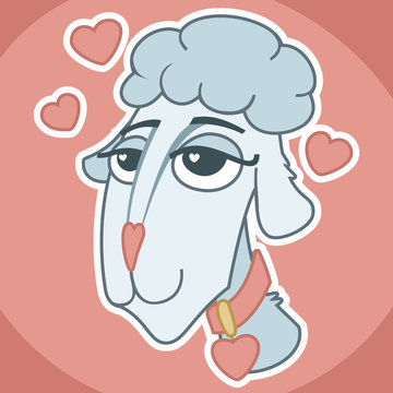 in love sheep