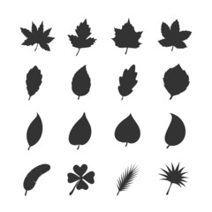 Leaf icon set