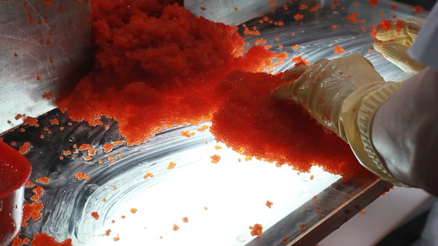 cutting  fresh  fish