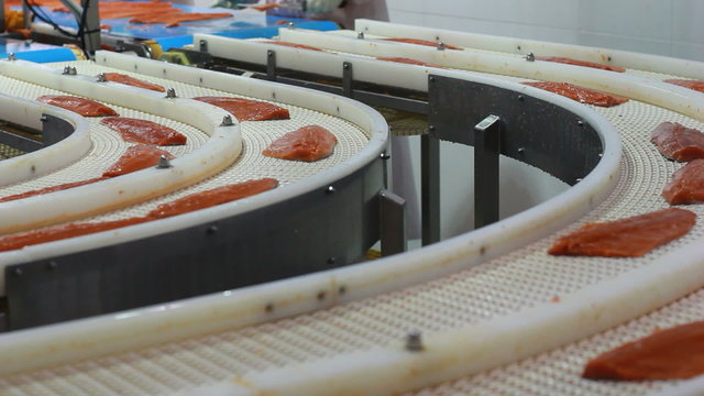 cutting  fresh  fish