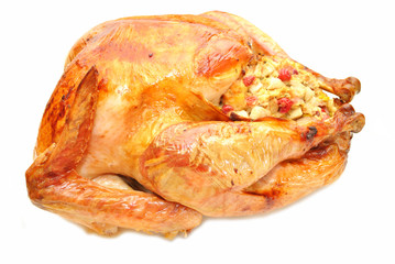 Appetizing Roasted Turkey Stuffed with Cranberry Bread Dressing