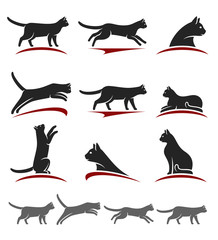 Cat set. Vector