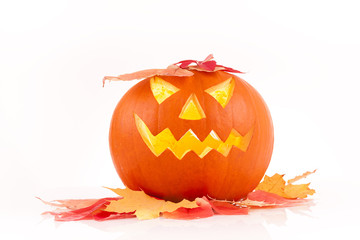 halloween pumpkin on a white background 
