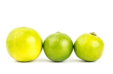 Lime