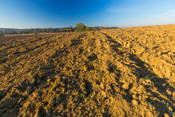 plowed field landscape