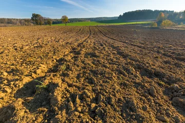 Deurstickers plowed field landscape © milosz_g