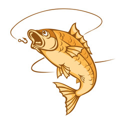 Catch a fish