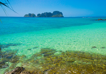 Fototapeta premium Marine Fantasy Green Pinnacle