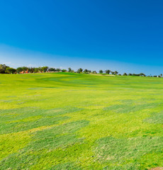Lonesome Acres Of Green
