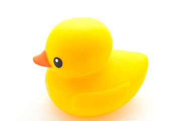 yellow rubber duck  on white