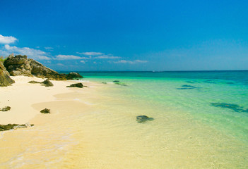 Fototapete bei efototapeten.de bestellen   