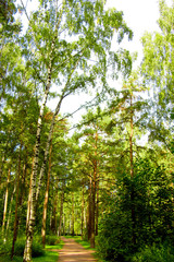 Fototapeta premium Natural Background Idyllic Nature