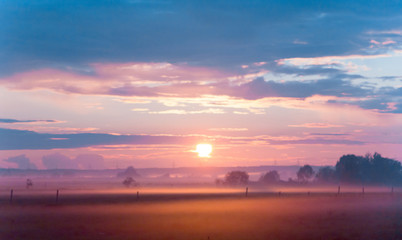 Grass Land Twilight Time