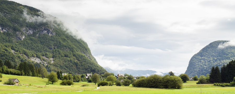 Fototapeta alpejska łąka