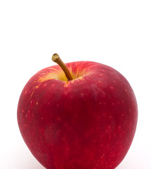Red apple on white