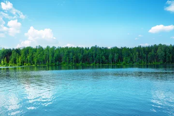  Forest lake © adisa