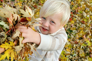 Young Child Playing Outside with Fallen Leaves in Autumn