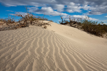 Fototapeta na wymiar Mesquite Sand Dunes in Death Valley
