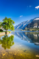 Alps autumn in Hallstatt