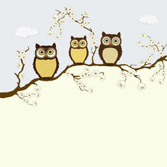 Card with family of owls on a branch with flowers