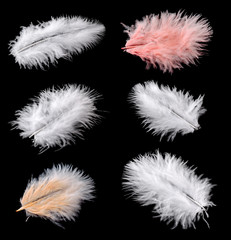 Obraz premium White and color feathers on a black background.