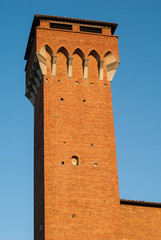 Cittadella, Torre guelfa, Pisa