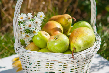 Apples in basket