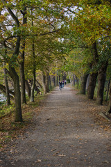 Spaziergang in BS-Riddagshausen