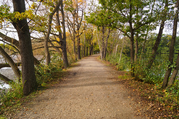 Obraz premium Herbstspaziergang im Wald