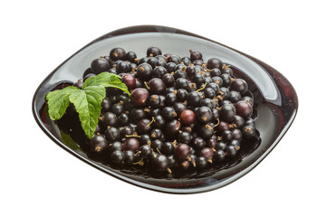 Black currant
