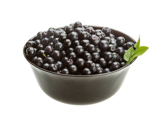 Blueberry