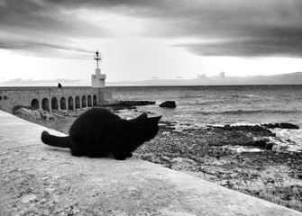 Faro Otranto Gatto