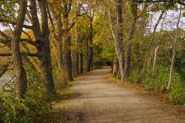 Fototapeta na wymiar Herbstspaziergang im Wald