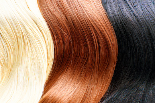 Hair colors palette. Blonde, brown and black hair colours
