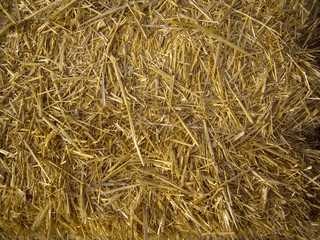 Hay bale