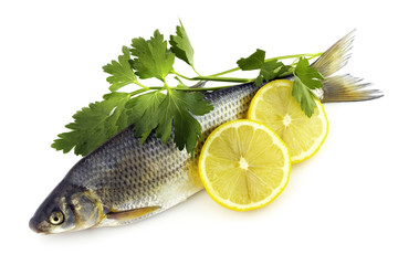 Raw fish isolated on white background