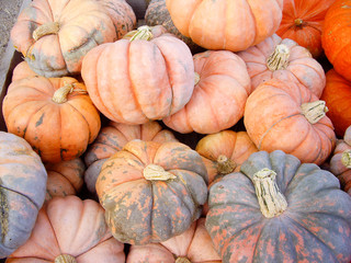 Green and orange gourds